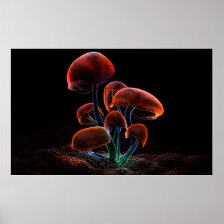 Póster Fluorescência (2009)