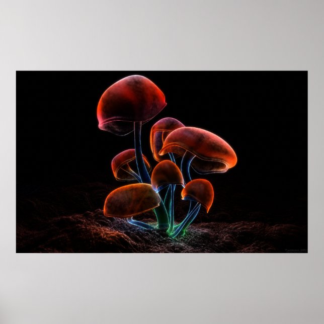 Póster Fluorescência (2009) (Frente)