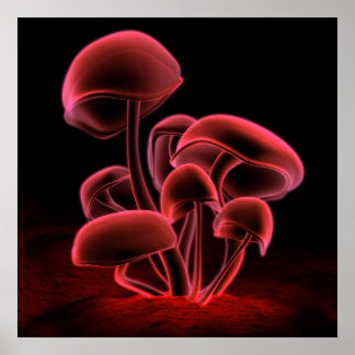 Poster Fluorescência Vermelha (Quadrado)