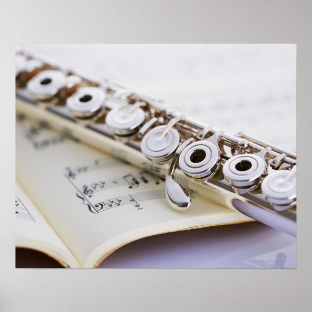 Poster Fluto 2 (Frente)