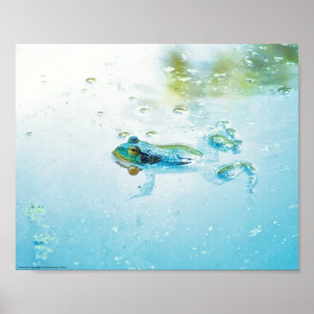 Poster Flutuante (Frente)