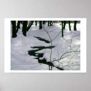Póster Fluxo de inverno