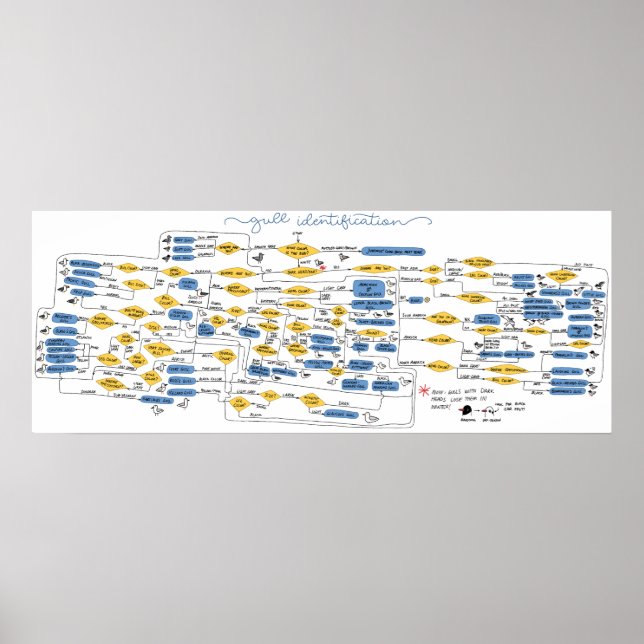 Poster Fluxograma de Identificação do Gull (Frente)