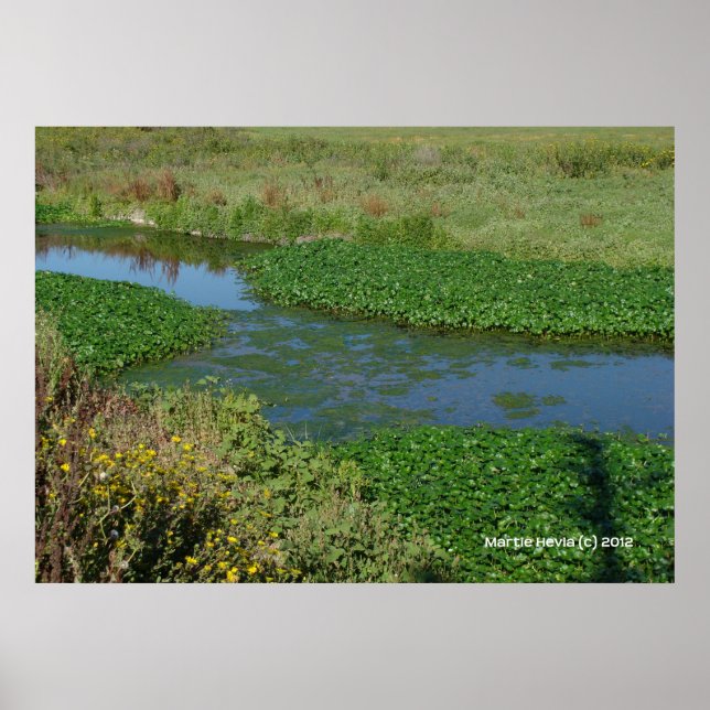 Poster Fluxos de Verde (Frente)