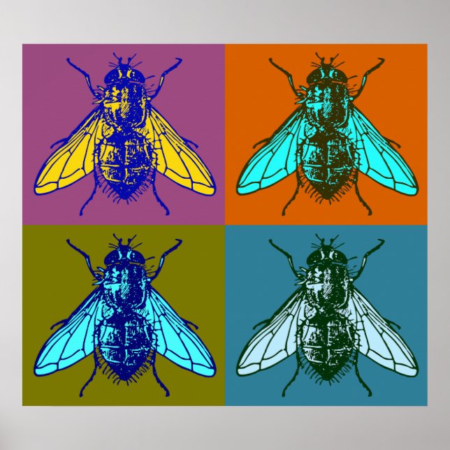 Poster Fly Pop Art (Frente)