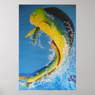 Póster Flying dolphin