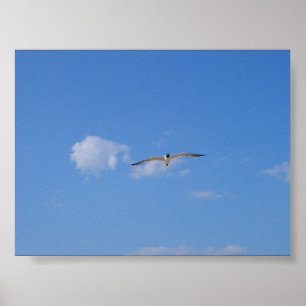 Póster Flying Gull