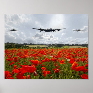 Póster Flypast da papoila