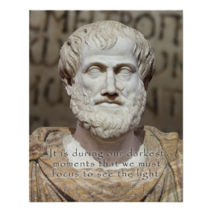 PÓSTER FOCO DAS CITAÇÕES DE ARISTOTLE - BUSTO DE PEDRA 