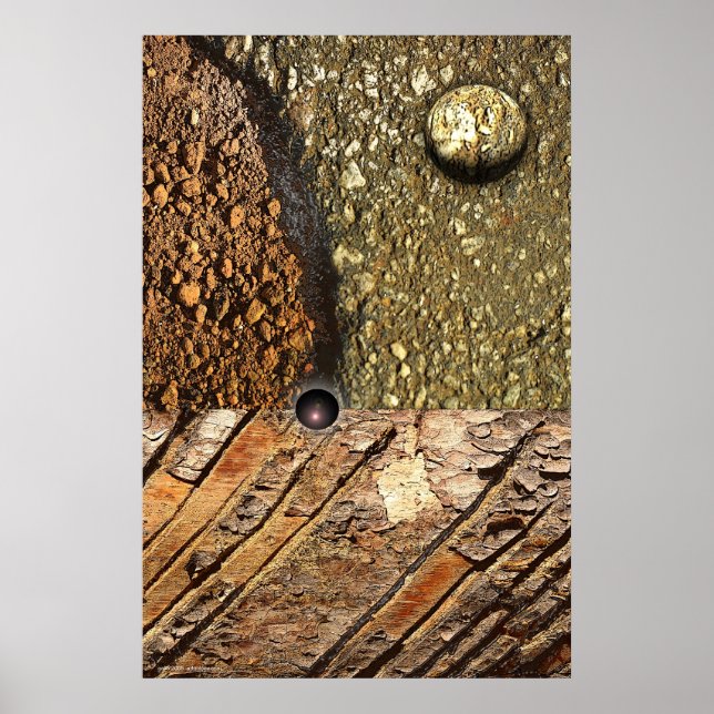 Poster Foco de Gregory Gallo (Frente)