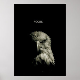 Poster FOCUS – Motivação Inspirada na Águia