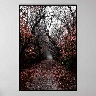 Poster Foggy Fall Trail