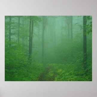 Póster Foggy Forest