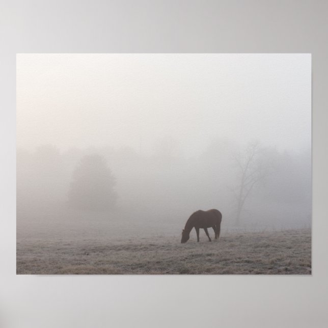Poster Foggy Grazing (Frente)