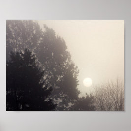 Poster Foggy Sunrise
