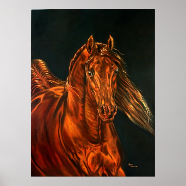 Póster Fogo (Frente)