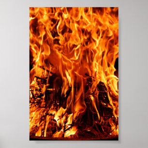 Póster Fogo