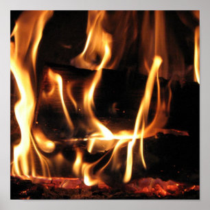 PÓSTER FOGO