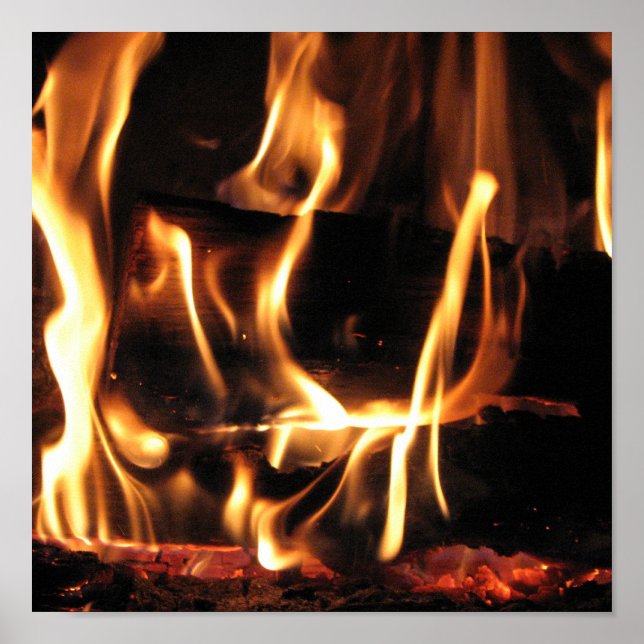 PÓSTER FOGO (Frente)