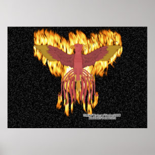 Poster Fogo de Phoenix