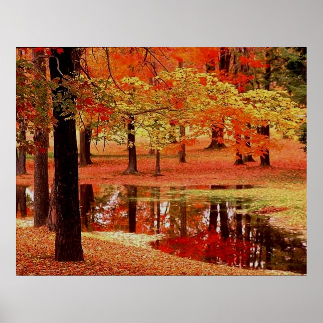 Poster Fogo e Chuva (Frente)