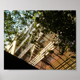 Póster Fogo Escapa em Sombra e Sol