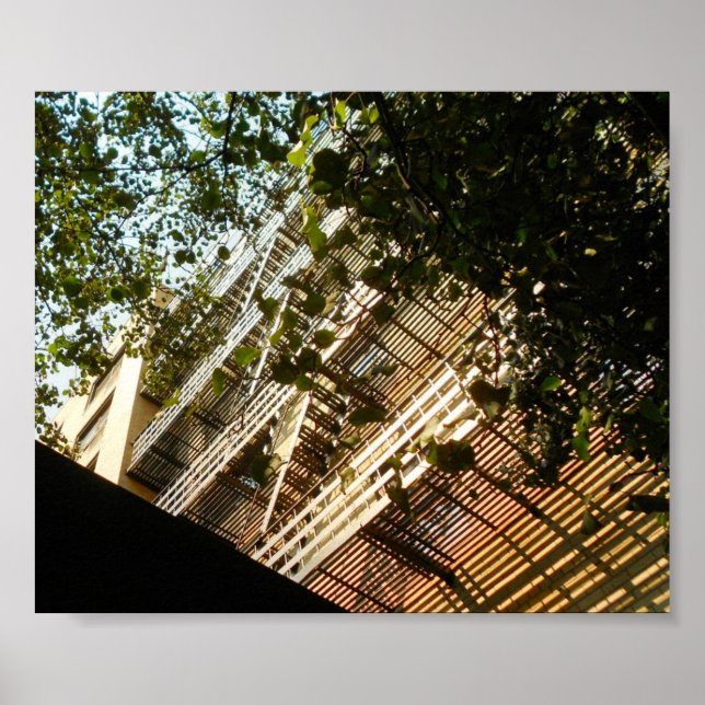 Póster Fogo Escapa em Sombra e Sol (Frente)