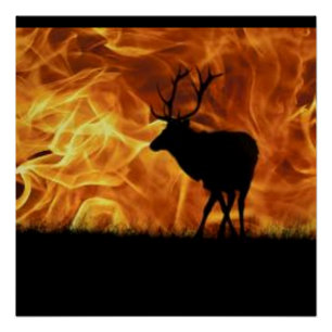 Póster Fogo no céu: Silhouette das Caraíbas