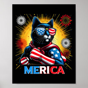 Poster Fogos de Artifício Bandeira dos EUA Patriótico Gat