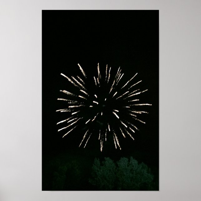 Póster Fogos de Artifício com Árvore (Frente)