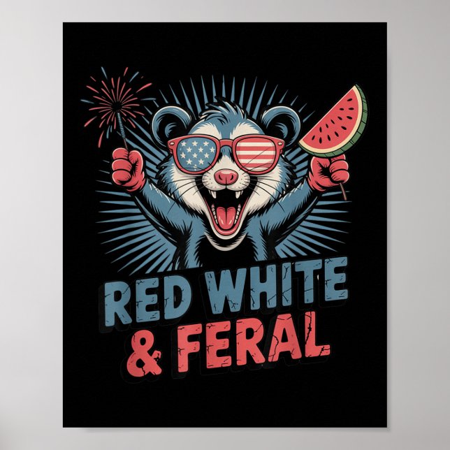 Poster Fogos De Artifício De Cascas Brancas Vermelhas E F (Frente)