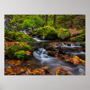 Poster Foguetes de Creek de Fome Columbia Gorge, Oregon