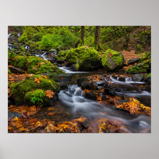 Poster Foguetes de Creek de Fome | Columbia Gorge, Oregon (Frente)