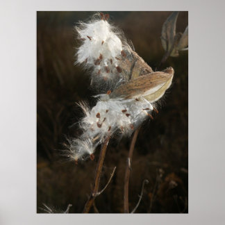 Póster Foi Com O Vento