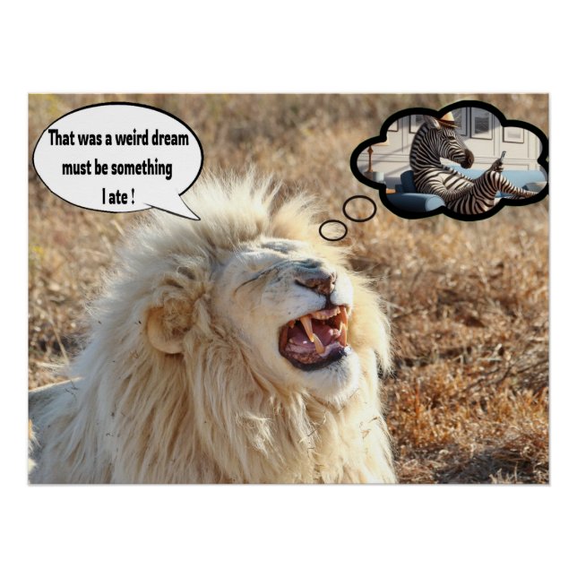 Póster Foi um sonho estranho (Frente)