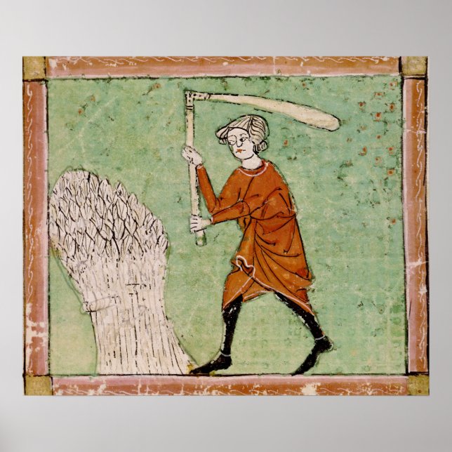 Póster Fol.59r de agosto: Trigo Limitante (Frente)