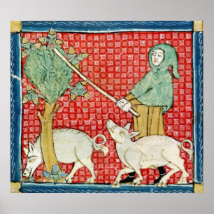 Póster Fol.59v novembro: Recolhendo bolotas