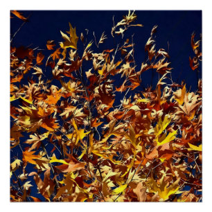 Póster Folga Artística Contra Céu Azul Profundo