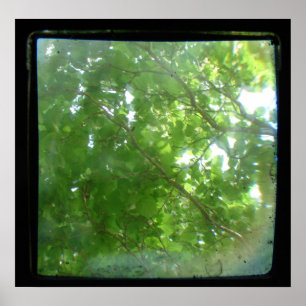 Póster Folgas TTV