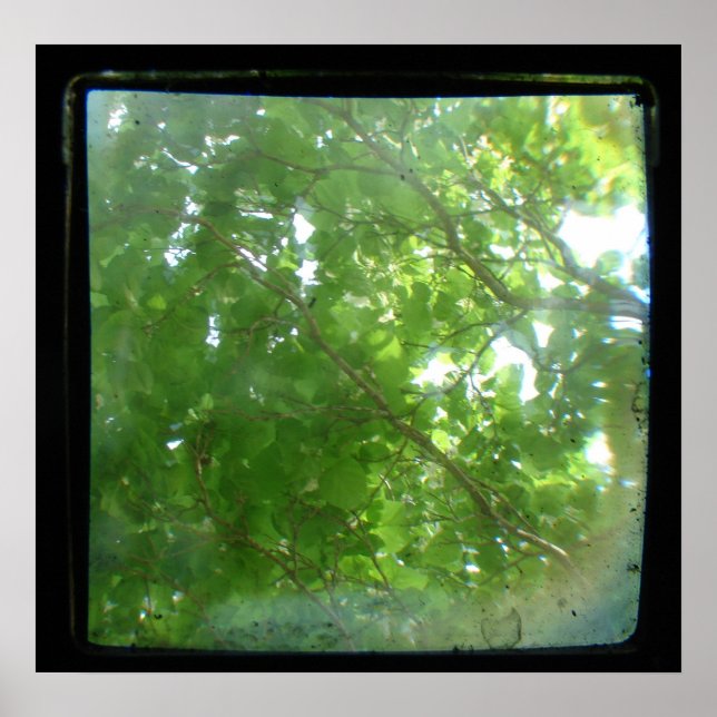 Póster Folgas TTV (Frente)
