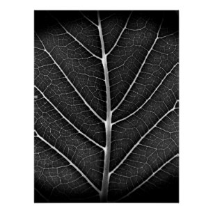 Póster Folha brilhante em preto e branco close-up