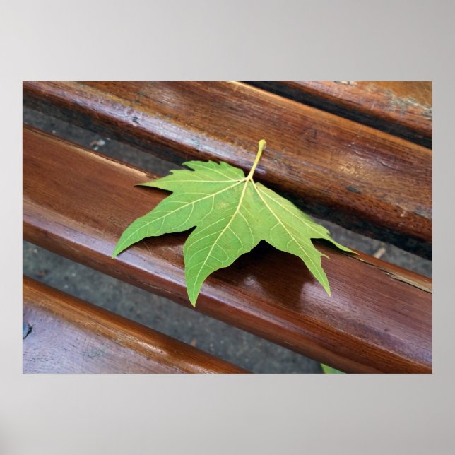 Póster folha caída (Frente)