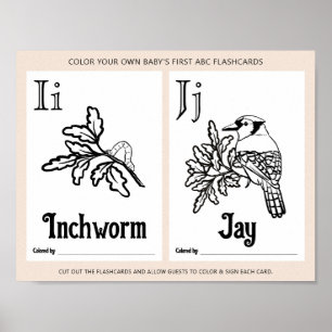 Poster Folha de Atividades de Coloração de Chás de fralda