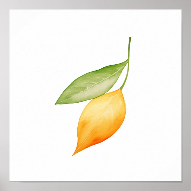 Poster Folha de Laranja (Frente)
