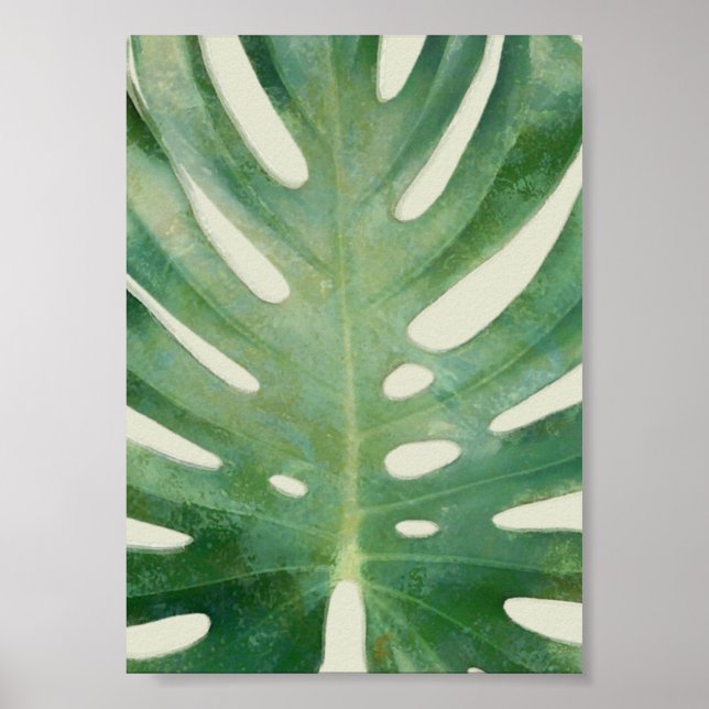 Poster Folha de Monstera (Frente)