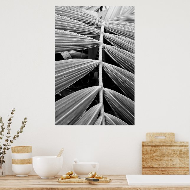 Poster folha de palmeira (Cozinha)