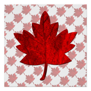 Póster Folha do Canadá-Bordo