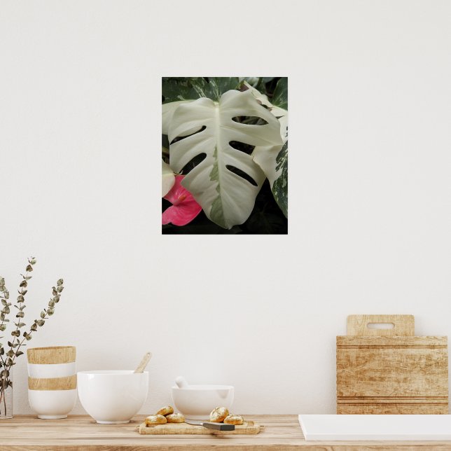 Poster Folha Floral de Monstera Variegada (Cozinha)
