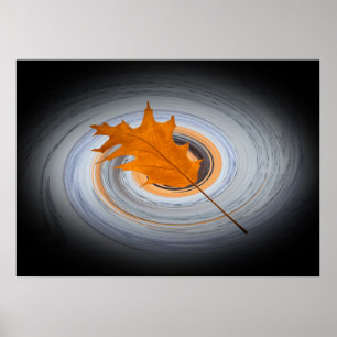 Póster Folha flutuante