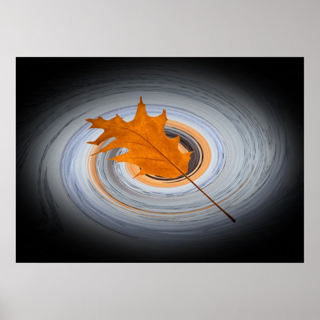 Póster Folha flutuante (Frente)